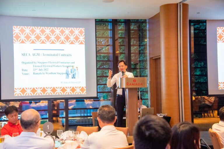 DG1 8619 min 768x513